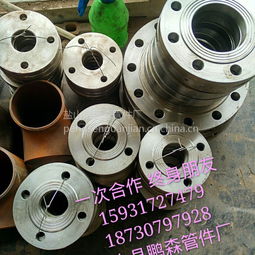 鹽山縣鵬森管件廠(chǎng) 生產(chǎn)廠(chǎng)家 碳鋼板式平焊 對(duì)焊法蘭 盲板 法蘭盤(pán) 質(zhì)優(yōu)價(jià)廉